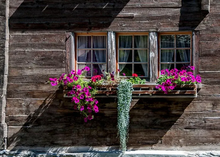 Edelweiss Vals