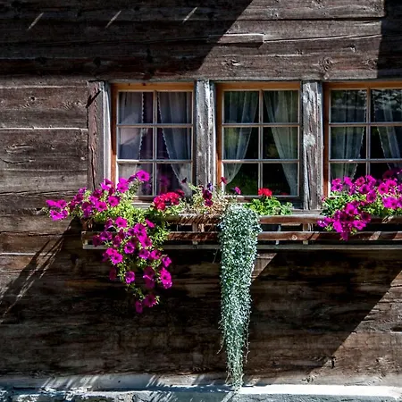 Edelweiss Vals