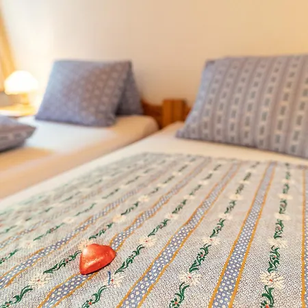 Casa de hóspedes Edelweiss